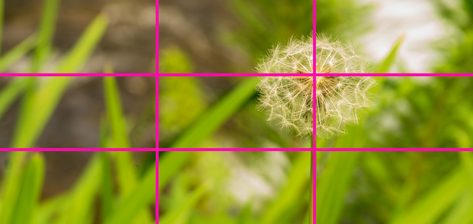 aprender composición fotográfica. Líneas de tercios